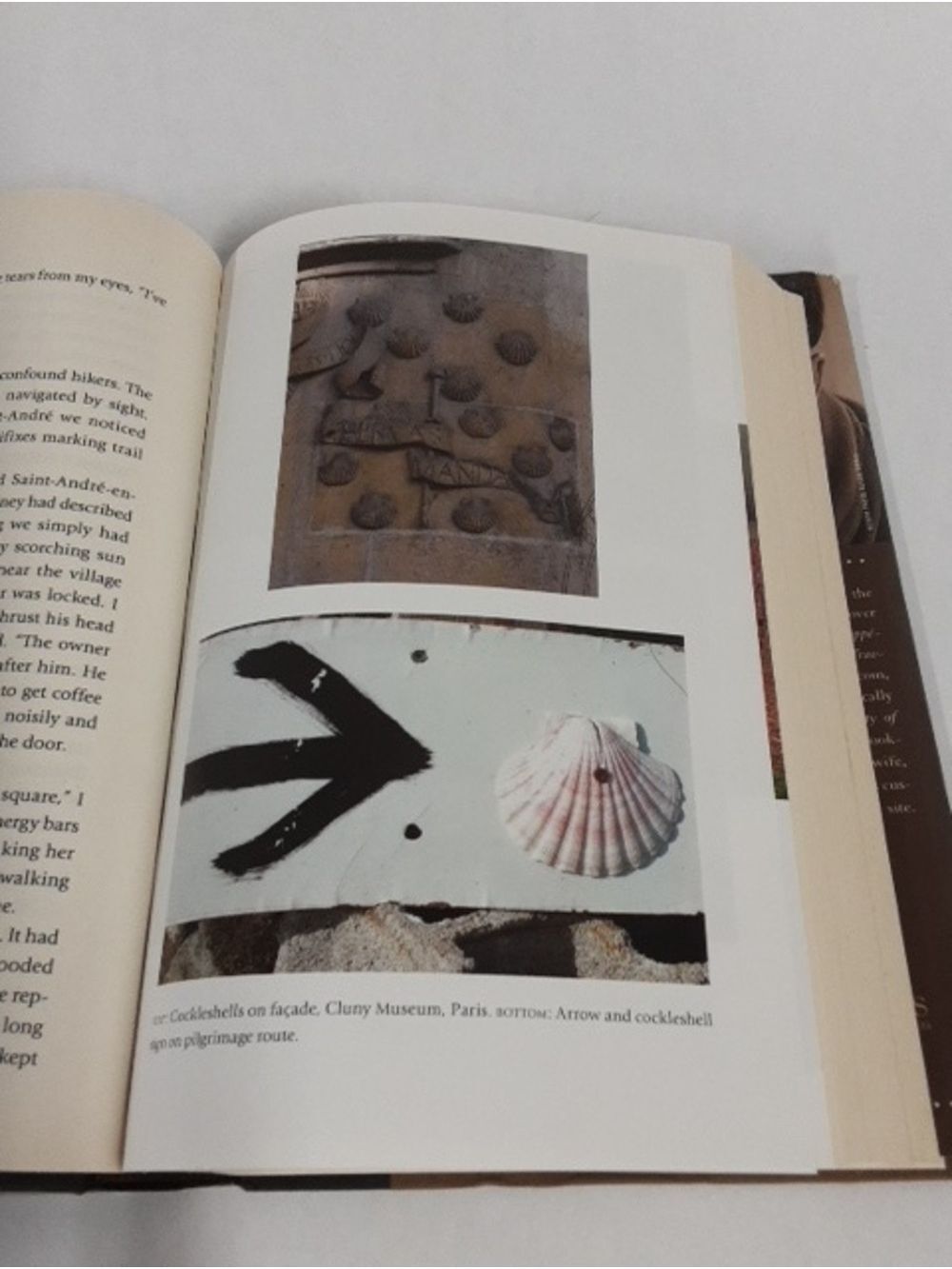 Paris To The Pyrenees: A Skeptic Pilgrim Walks The Way Of Saint James Hardcover - Picture 10 of 14